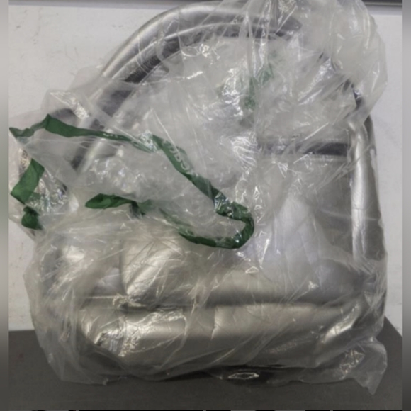 Gorgeous silver backpack - BNWOT - Picture 3 of 3